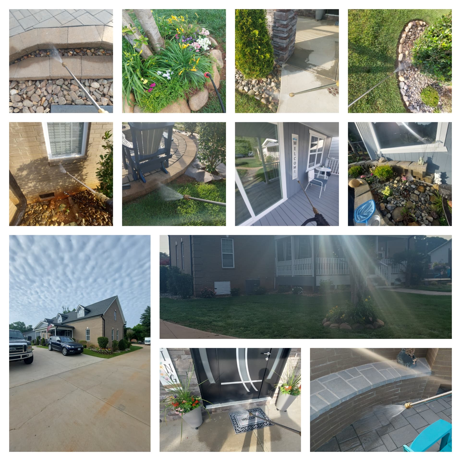 Yard and perimeter mosquito and ant work